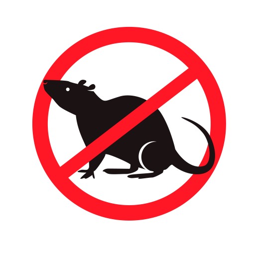 Protection contre les termites